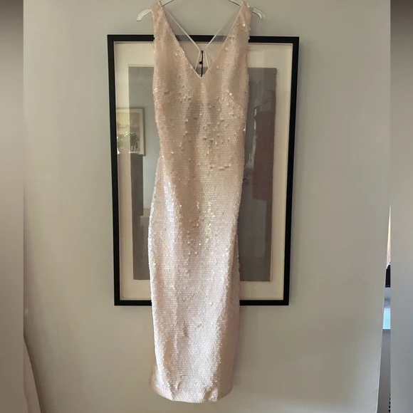 NWT Massimo Dutti Studio blush sequin dress with chiffon open back side slit  S - Picture 2 of 14